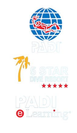 PADI 5 STAR DIVE RESORT